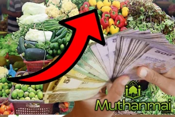 மீண்டும் அதிகரிக்கும் மரக்கறிகளின் விலை