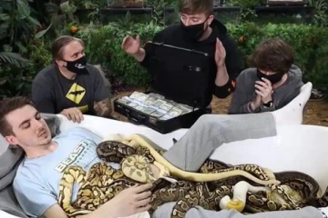 பணத்திற்காக இப்படியெல்லாம்  செய்வாங்களா?