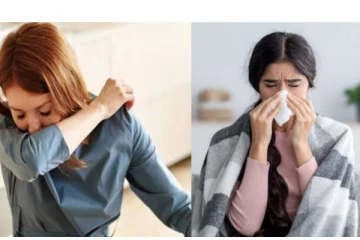 குளிர்காலத்தில் அடிக்கடி காய்ச்சல் வருகிறதா? அப்போ இந்த வைட்டமின் அவசியம் -நோட் பண்ணுங்க!