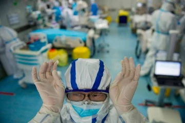 புதிய கொரோனா வைரஸ் இந்த உயிரினத்திலிருந்து பரவலாம் - வெளியான அதிர்ச்சி தகவல்