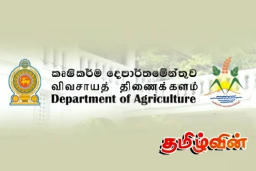 காய்கறி விவசாயிகளுக்கு வழங்கப்பட்ட பெரும் தொகை பணம்