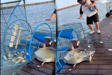 Viral Video: மீன் பிடிப்பதற்கு இப்படியும் ஒரு கருவியா? துடிக்கும் மீன்களின் கண்கொள்ளாக்காட்சி