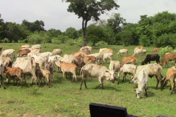 அடக்குமுறைகளை உடனடியாக முடிவுக்குக்கொண்டுவாருங்கள் : முன்னரங்கப் பாதுகாவலர்கள் அமைப்பு கடும் கண்டனம்