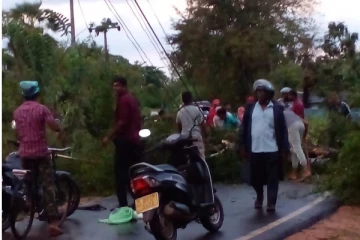 வவுனியாவில் மினி சூறாவளி