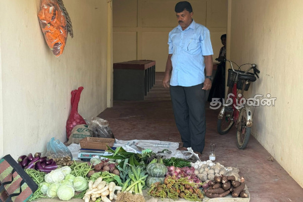 யாழில் 28 வருடங்களுக்கு பின் மீண்டும் இயங்கவுள்ள பொது சந்தை | Public Market To Open In Jaffna After 28 Years