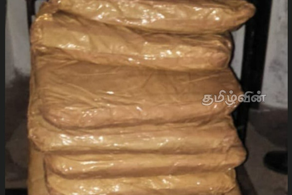யாழில் கஞ்சாவுடன் இருவர் கைது(Photos) | Two Arrested With Ganja In Jaffna