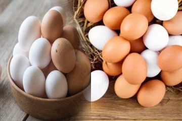 முட்டையொன்றை விற்பனை செய்யக்கூடிய இறுதி விலை!விடுக்கப்பட்டுள்ள பணிப்புரை