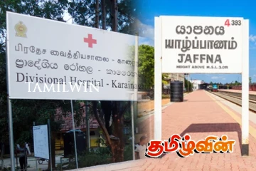 யாழில் விசப்பாசியின் தாக்கத்தால் ஆறுபேர் வைத்தியசாலையில் அனுமதி