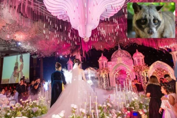 திருமண வரதட்சணையாக 100 அரிய வகை பூனைகள்! தங்கக் கட்டிகள், வைர நகைகள்..இணையத்தில் வைரல்