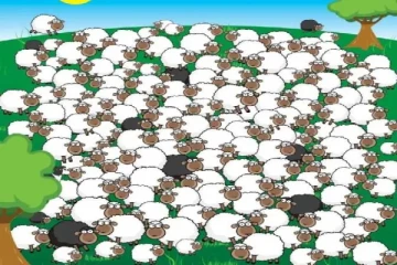 optical illusion:இந்த படத்தில் தூங்கிக்கொண்டிருக்கும் ஆடு எங்கே உள்ளது ?