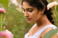 சீரியல் நடிகை ஆயிஷா அழகிய போட்டோஷூட்