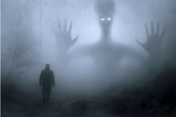 தனியாக வந்த சிறுமியை பின்தொடர்ந்த அமானுஷ்ய நிழல்! காட்டுக்குள் திகில் சம்பவம்