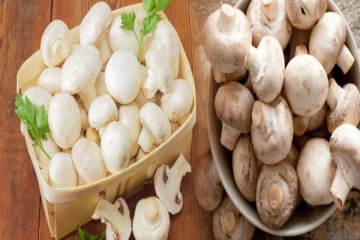 மழைக்காலத்தில் தவறியும் காளான் சாப்பிடாதீங்க! ஏன் தெரியுமா? மருத்துவ விளக்கம்