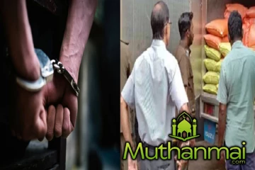 அரிசி லொறியில் கொண்டுவரப்பட்ட நாய்கள் : அதிரடியாக கைது செய்யபட்ட சாரதி