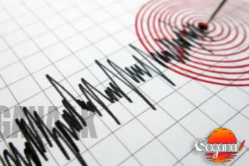 නවසීලන්තයේ භූ කම්පනයක්!