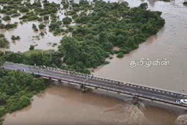 மகாவலி கங்கைப் பெருக்கெடுப்பு! நூற்றுக்கு மேற்பட்ட குடும்பங்கள் இடம்பெயர்வு | Mahaweli Ganga Floods 140 Families Displaced