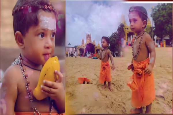 நல்லூர் கந்தன் மாம்பழ திருவிழாவில் பக்தர்களை கவர்ந்த சிறுவன் முருகன்! | Boy Murugan Captivates Nallur Mango Festival