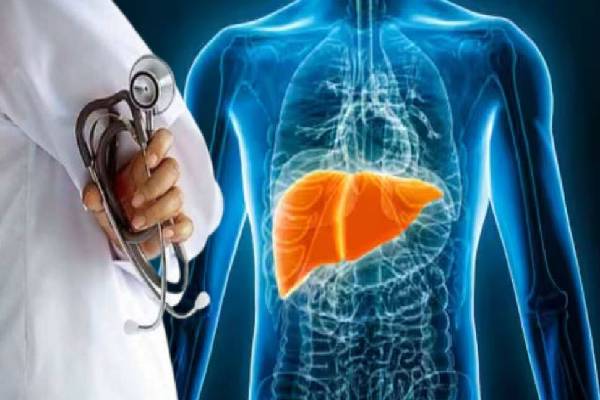 உடலில் அதிக வேலை செய்யும் உறுப்பு இதுதான்! பாதிப்பு குறித்து எச்சரிக்கும் மருத்துவர்கள் | How Do Exercise And Diet Change Liver Disease