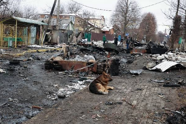 உக்ரைன் தலைநகரில் தொடரும் பதற்றம்: சாலையில் திரண்ட பொதுமக்கள் | Russia Ukraine War Atomic Station Workers Attack