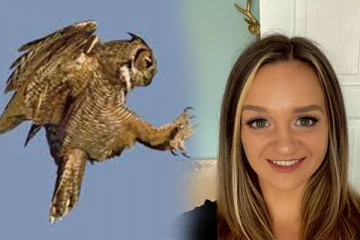 திடீரென பின்னாலிருந்து யாரோ தாக்கியதுபோல் உணர்ந்த இளம்பெண்: திரும்பியபோது காத்திருந்த அதிர்ச்சி