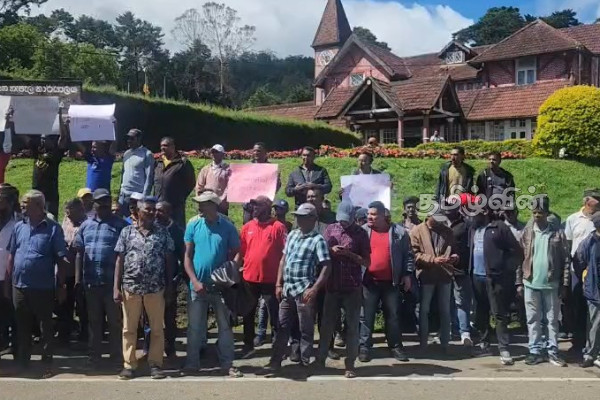 நுவரெலியாவில் pickme- க்கு எதிராக போராட்டம் | Protest Pickme In Nuwara Eliya