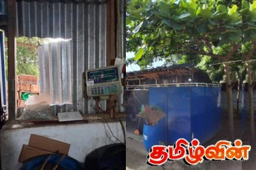 நிலாவெளியில் தொடரும் திருட்டுகள்: முகமூடி அணிந்து கைவரிசை காட்டிய மர்ம நபர்கள்