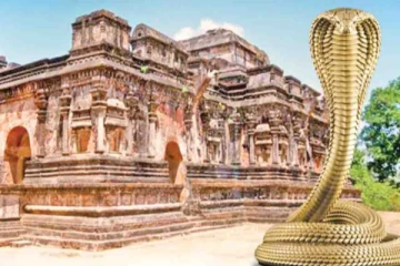 නාගයෙක් අදත් ආරක්ෂකයා... ඇත්ත කුමක්ද?