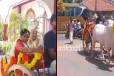மணக்கோலத்தில் மாட்டு வண்டியில் யாழ்ப்பாணத்தை வலம் வந்த புதுமணத் தம்பதி