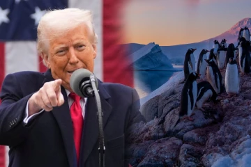 பென்குயின்கள் , சீல்கள் வசிக்கும் தீவுகளிற்கும் வரிவிதித்த டிரம்ப்