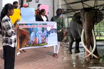 மீண்டும் தாய்லாந்திற்கே திரும்பும் இலங்கைக்கு கிடைத்த பரிசு! கொழும்பில் ஒன்றுதிரண்ட மக்கள் (Video)