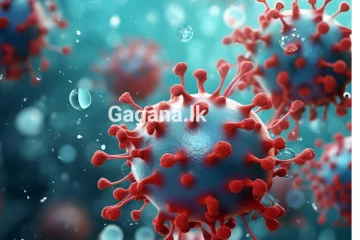 ඉමියුනෝග්ලොබියුලින් සිද්ධියේ මහමොළකරුවන් තවම නිදැල්ලේ - පොලිසියට චෝදනාවක්..!