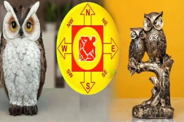 வீட்டில் ஆந்தை சிலையை வைக்கலாமா? வாஸ்து ரகசியத்தை தெரிஞ்சிக்கோங்க