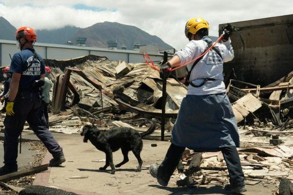 கனடாவிலும் அவசரநிலை பிரகடனம் | Emergency Declared In Canada Wild Fire Hawaii