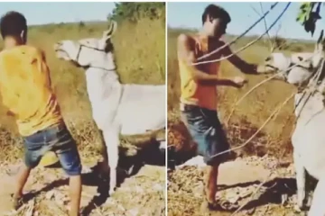 தன்னை தாக்கியவரை பழிக்குப் பழி வாங்கிய கழுதை! இறுதியில் காத்திருந்த பேரதிர்ச்சி