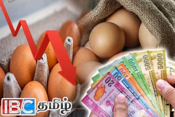 முட்டை விலை தொடர்பில் வெளியாகியுள்ள தகவல்