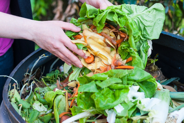 திடீர் மாற்றத்துக்குள்ளான உணவுக்கழிவுகள்! | A Drop In The Amount Of Food Waste