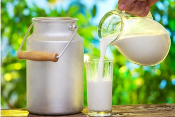 120 ரூபாவினால் அதிகரிக்கப்படவுள்ள பாலின் விலை?