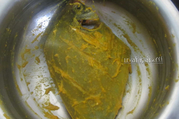 காரசாரமான மீன் மிளகு மசாலா ஓட்டல் ஸ்டைலில் வீட்டில் செய்வது எப்படி? | Fish Pepper Masala