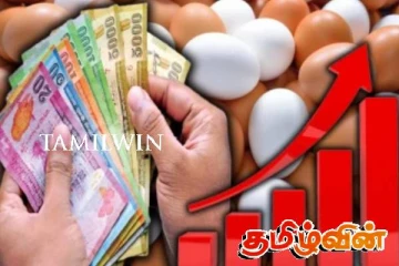 முட்டையின் விலை மீண்டும் அதிகரிப்பு