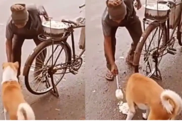 தள்ளாத வயதிலும் தளராத முதியவர்....மில்லியன் இதயங்களை நெகிழ வைத்த செயல்