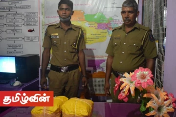 வாழைச்சேனை பொலிஸ் பிரிவுக்குட்பட்ட பகுதியில் கேரள கஞ்சாவுடன் பெண் ஒருவர் கைது