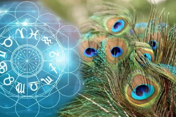 வீட்டில் பணம் அதிகரிக்க உதவும் மயில் இறகு - கட்டாயம் அறியவும்