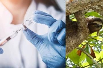 ஐரோப்பாவை உலுக்கும் இன்னொரு சம்பவம்.... இளம் வயதினருக்கு விடுக்கப்பட்ட எச்சரிக்கை