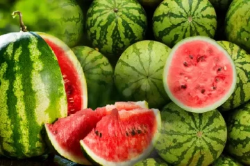 வடக்கில் சூடு பிடித்துள்ள தர்பூசணி மற்றும் நுங்கு விற்பனை