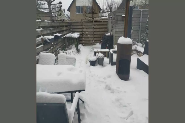 ஐந்தே வினாடிகளில் பனியில் மறைந்திருக்கும் பூனையை கண்டுபிடிக்க முடியுமா? | Find Hidden Cat In 5 Seconds Eye Test Picture ஐந்தே வினாடிகளில் பனியில் மறைந்திருக்கும் பூனையை கண்டுபிடிக்க முடியுமா? | Find Hidden Cat In 5 Seconds Eye Test Picture