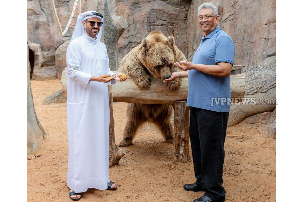 புலிக்கு பாலூட்டிய கோட்டாபய நாடு திரும்பினார் !(PHotos) | Gotabaya Returned To The Country