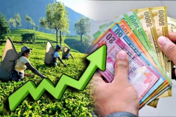 பெருந்தோட்டத் தொழிலாளர்களின் சம்பள அதிகரிப்பு: அதிபரின் அதிரடி உத்தரவு