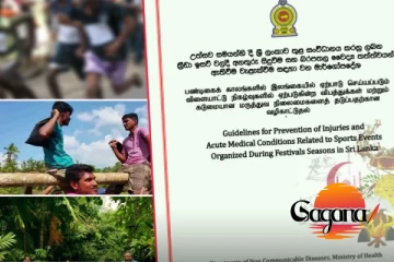 අවුරුදු උත්සව තියෙනවා ද? එහෙනම් මේක බලන්න