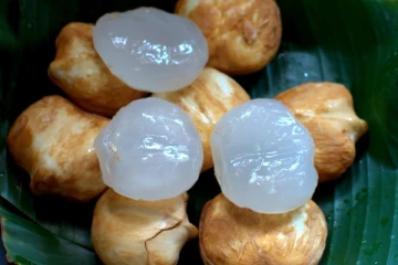 நோயெதிப்பு சக்தியை அதிகரிக்கும் நுங்கு பாயசம்... எப்படி செய்யணும் தெரியுமா?