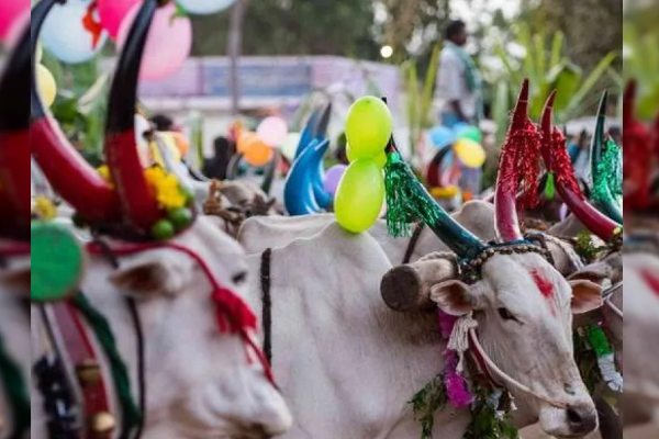 நாட்டில் பொருளாதார வளம் கொழிக்க பொங்கலிடுவோம் | Thai Pongal 2026 நாட்டில் பொருளாதார வளம் கொழிக்க பொங்கலிடுவோம் | Thai Pongal 2026